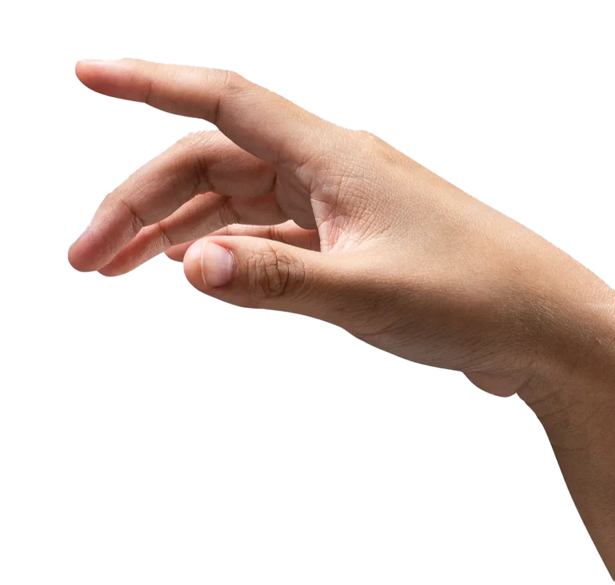 Human Hand